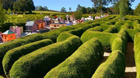 maze in tasmania|Tasmazia and The Village of Lower Crackpot .